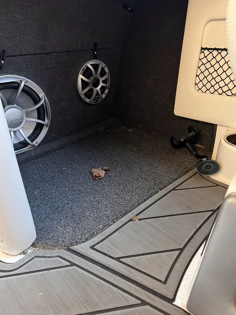 Speaker compartment before detailing, with leaves and dirt on the carpet
